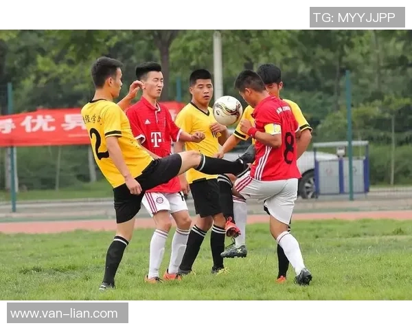 绵羊卷的足球明星如何在绿茵场上展现独特魅力与风采