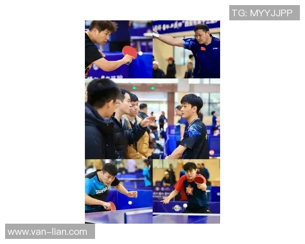 西安乒乓球队在全国耐力排行榜中荣获第六名的辉煌成就